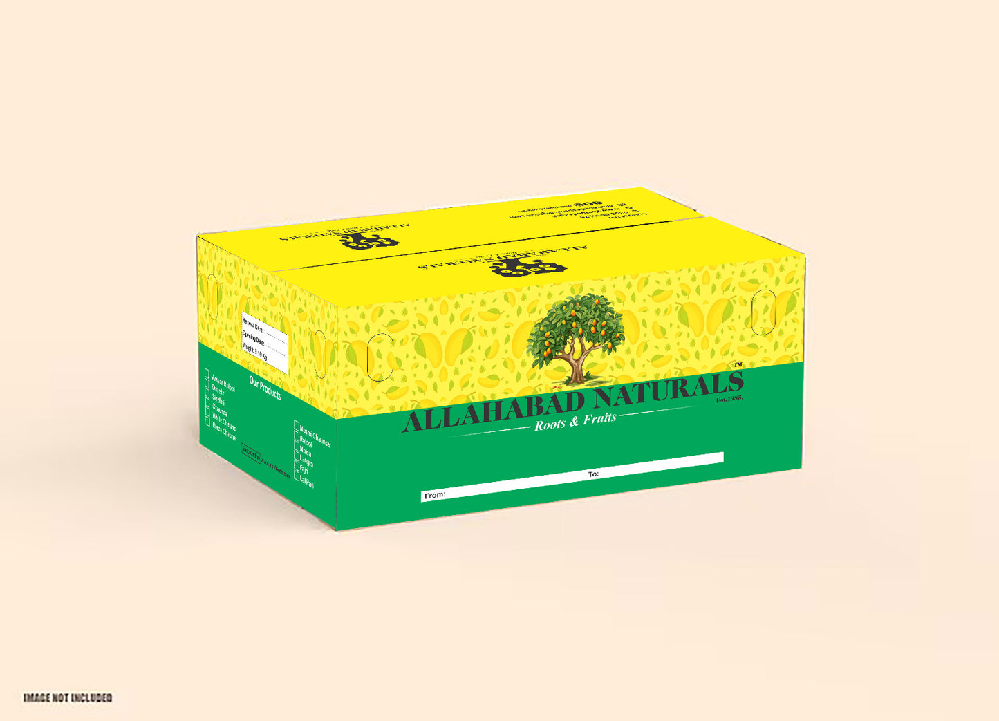 Mango🥭 (Sindhri)