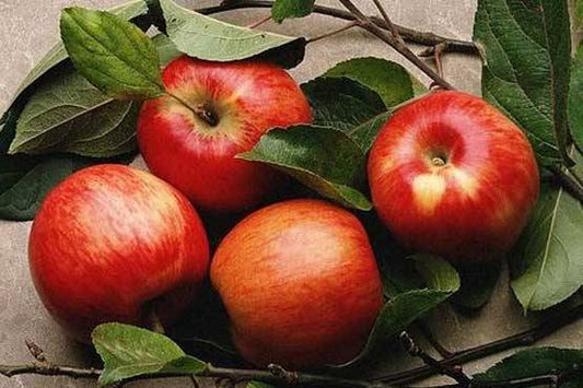 Apples (Kala Kallu) 4 kg box