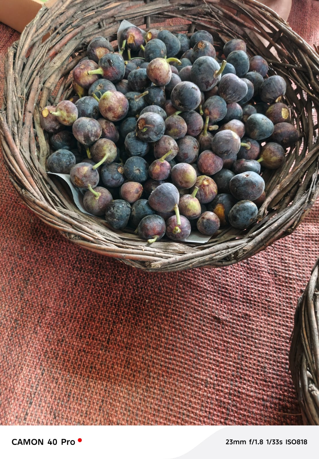 Fresh Fig 2 kg basket