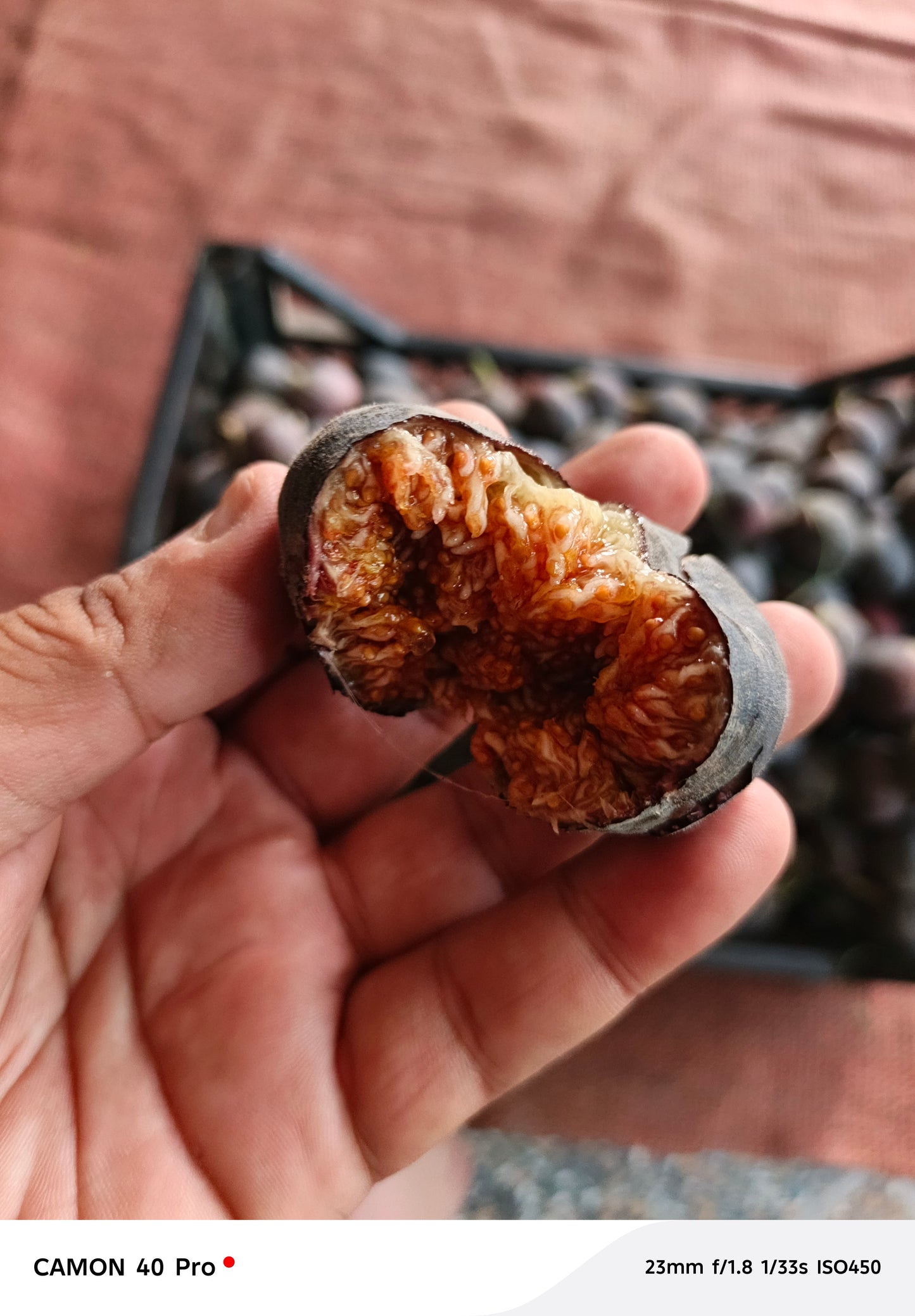 Fresh Fig 2 kg basket