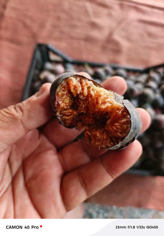 Fresh Fig 2 kg basket