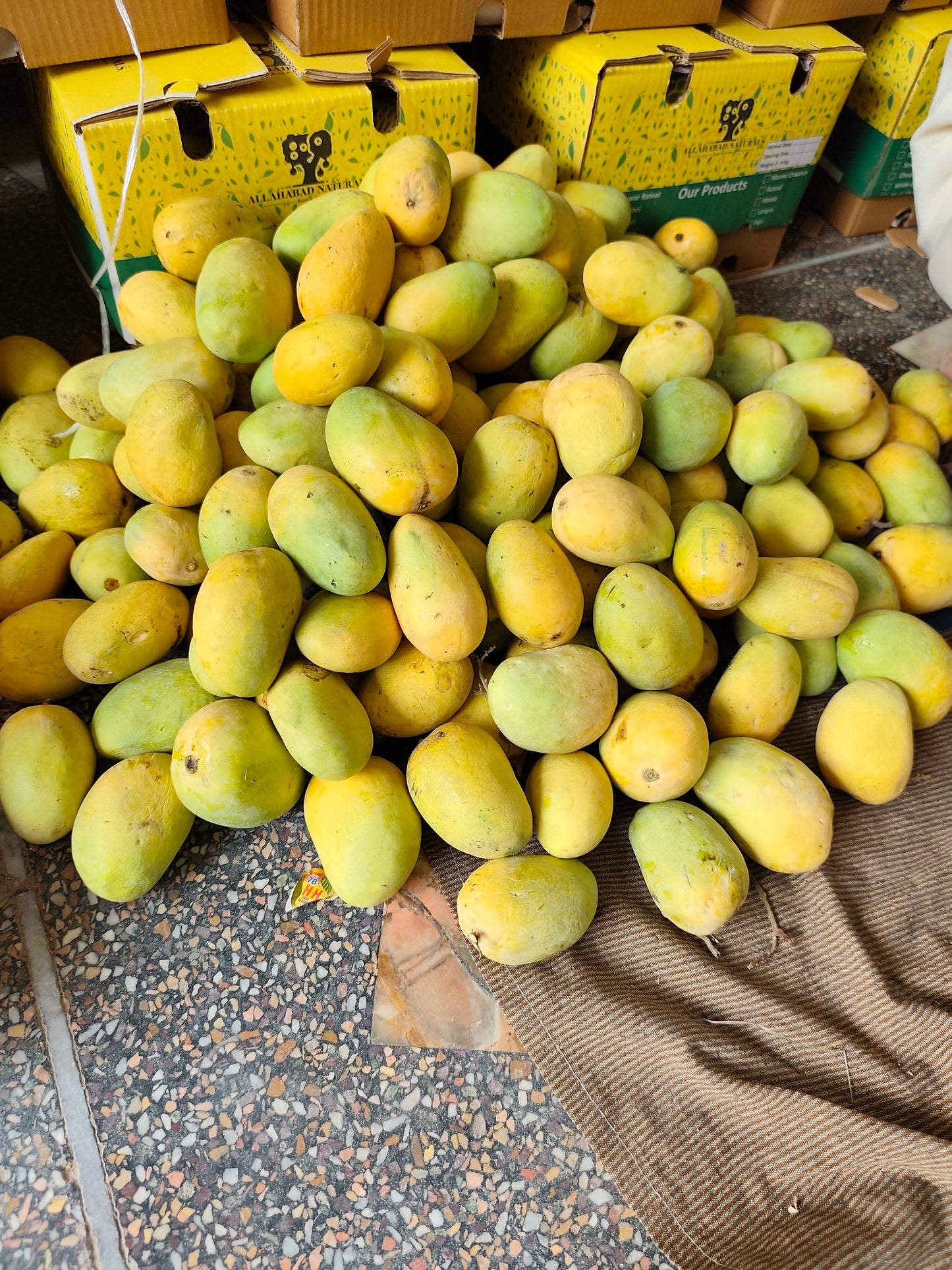 Anwar Ratool Mango