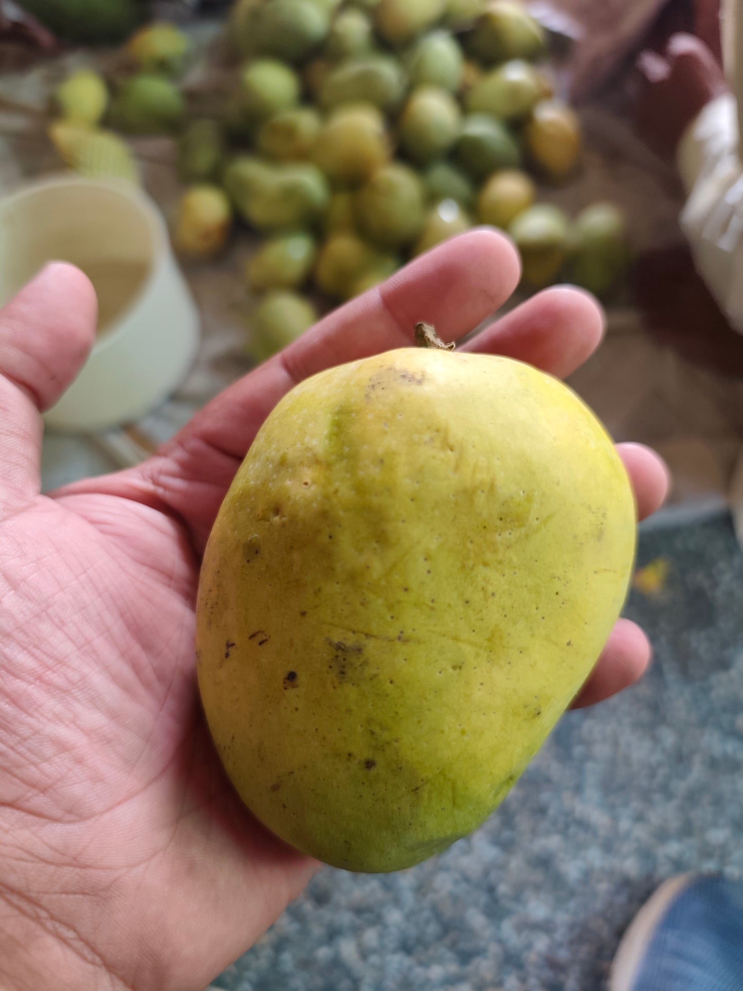 Anwar Ratool Mango