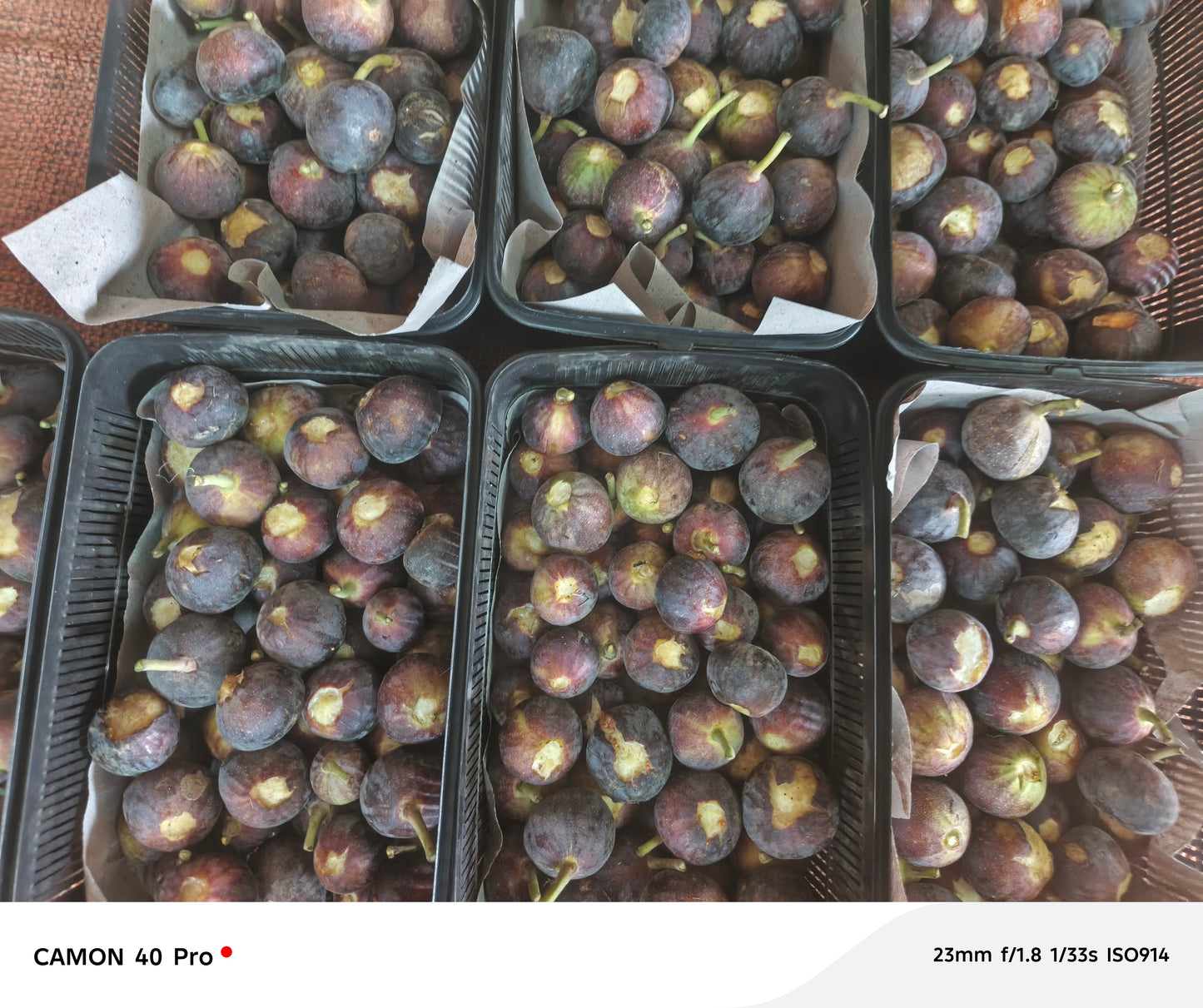 Fresh Fig 2 kg basket